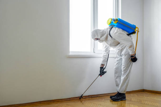 Best Indoor Pest Control  in Country Clu, CA